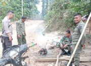 Sinergitas TNI-POLRI dan Polhut Cegah Ilegal Logging, Polsek Monta Laksanakan Pengawasan dan Penjagaan