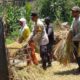 Cooling System, Bhabinkamtibmas Kelurahan Nungga Dukung Ketahanan Pangan, Sambangi Petani