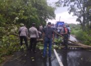 Polsek Gerung Turun Tangan: Pohon Tumbang Hambat Akses, Polisi Segera Tanggap!