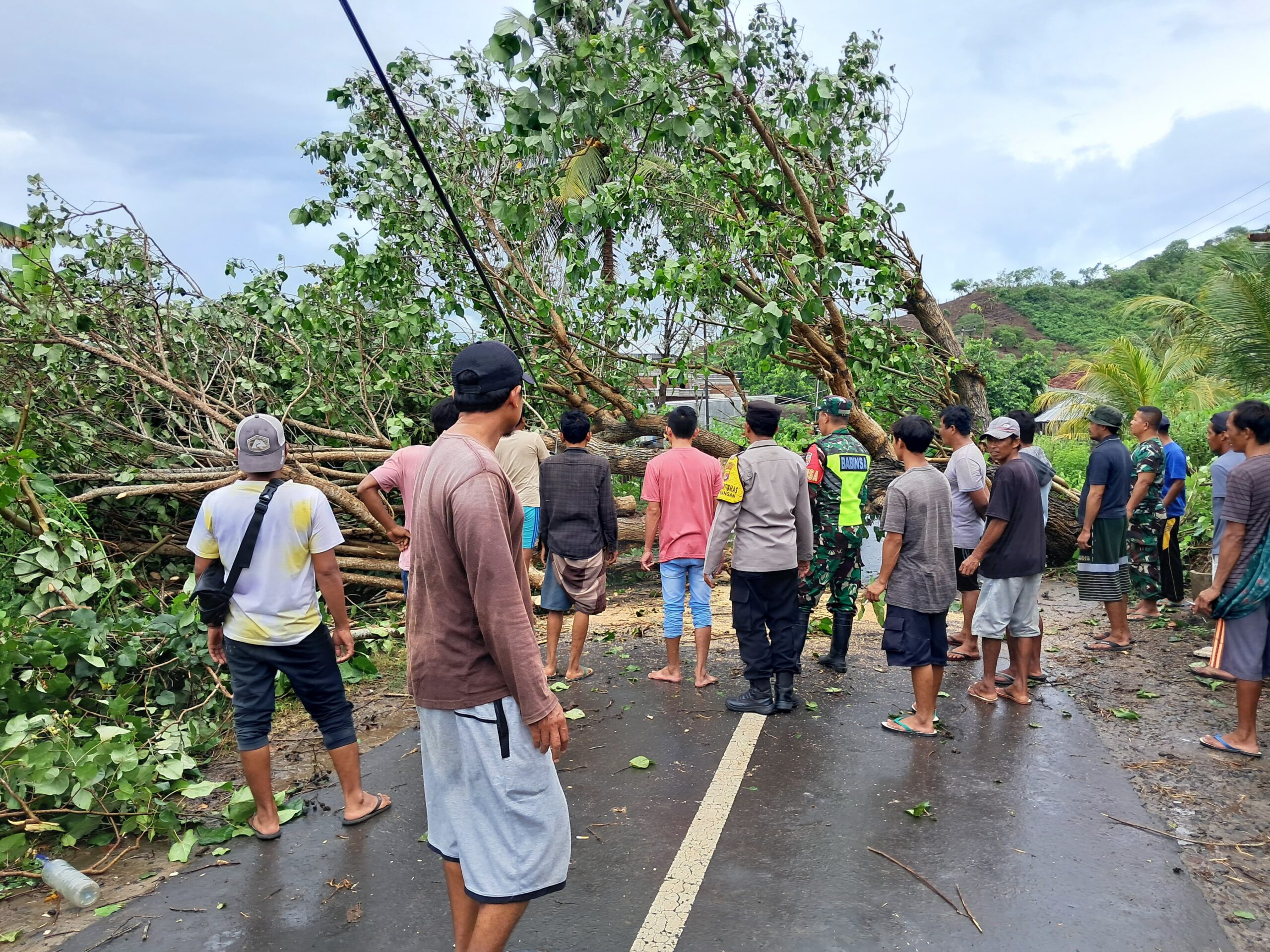 Cuaca Ekstrem Sekotong, Pohon Tumbang & Gelombang Pasang Terjang Dua Desa