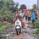 Gerung Terkena Hujan Ekstrem, 3 Pohon Tumbang Semapt Blokir Jalan