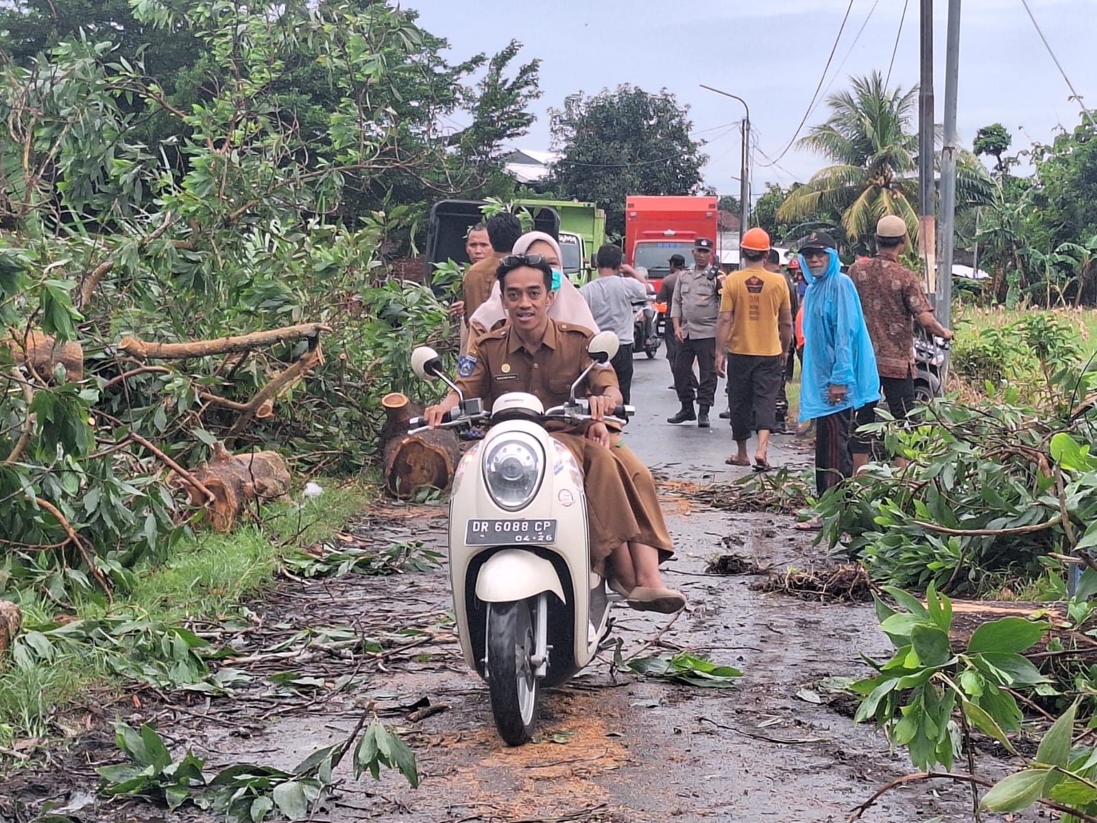 Gerung Terkena Hujan Ekstrem, 3 Pohon Tumbang Semapt Blokir Jalan