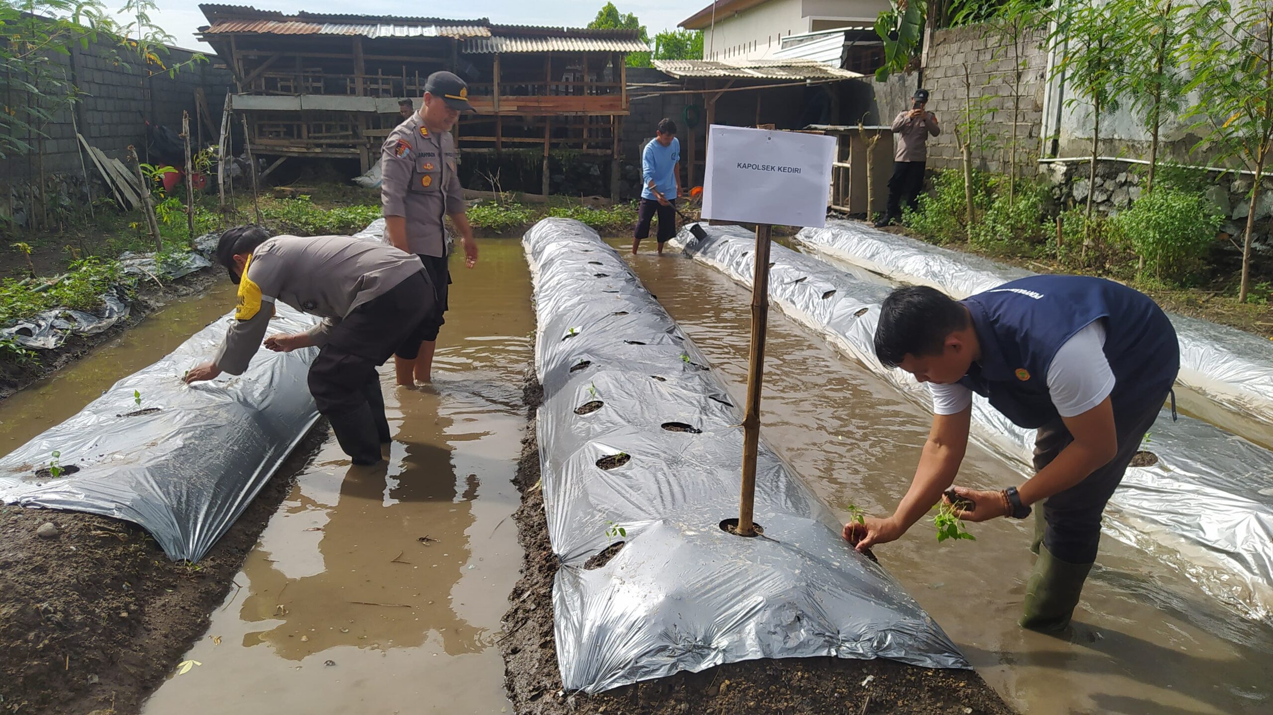 Inisiatif Pangan Bergizi di Desa Jagarga Indah Solusi Ketahanan Pangan yang Berkelanjutan