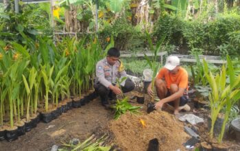 Ketahanan Pangan, Polsek Kediri Edukasi Warga Tanam Sayuran di Rumah