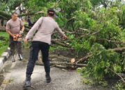 Lombok Barat Kena Cuaca Ekstrem, Tim Gabungan Cepat Evakuasi Pohon Tumbang