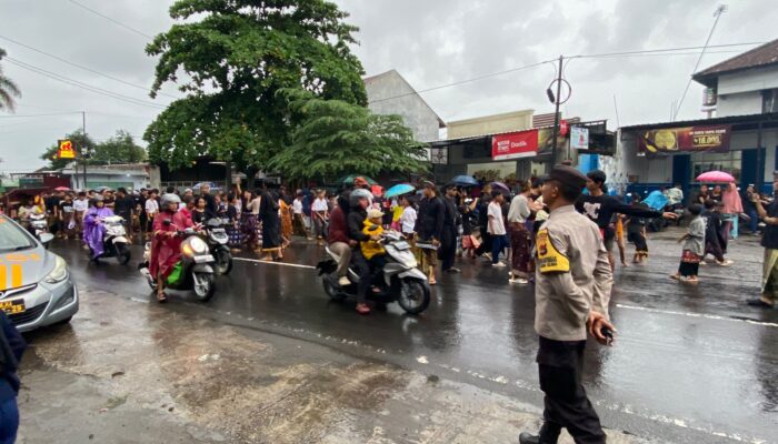 Semarak Nyongkolan Warnai Lombok Barat: Pengamanan Berjalan Lancar