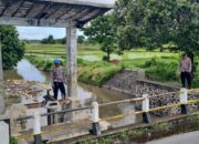 Cek Debit Air, Polsek Kediri Cegah Potensi Banjir dan Pohon Tumbang