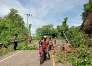 Longsor Bukit Nanga Tumpu: Respons Cepat Aparat Gabungan Polsek dan Koramil 06 Manggelewa Normalisasi Jalan