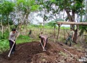 Wujudkan Tanaman bergizi Kapolsek Sekongkang bersama Forkopimcam gerakkan pemanfaatan pekarangan kosong