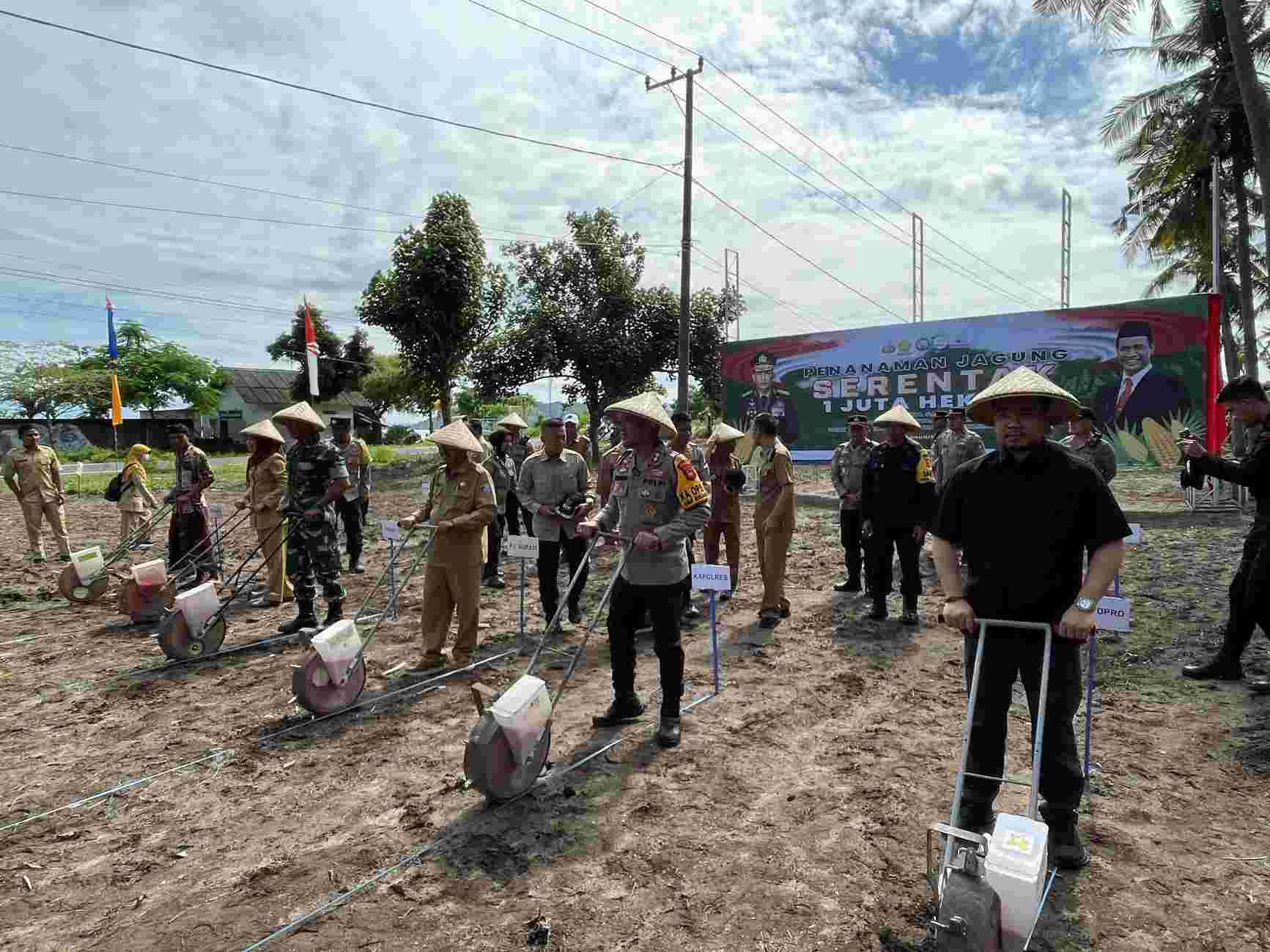 Sinergi Polri-Petani, Lombok Barat Jadi Lokomotif Swasembada Jagung 2025