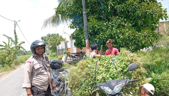 Aksi Nyata Bhabinkamtibmas: Dorong Warga Merembu Mandiri Pangan