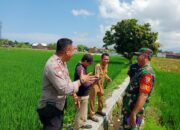 Karang Bongkot Punya Potensi! Lahan Kosong Siap Digarap Petani