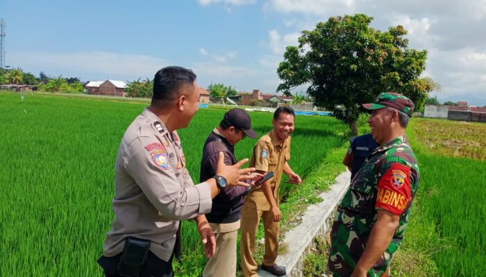 Karang Bongkot Punya Potensi! Lahan Kosong Siap Digarap Petani