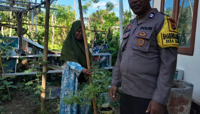 Sambang Desa: Bhabinkamtibmas Ajak Warga Senggigi Kembangkan Pertanian