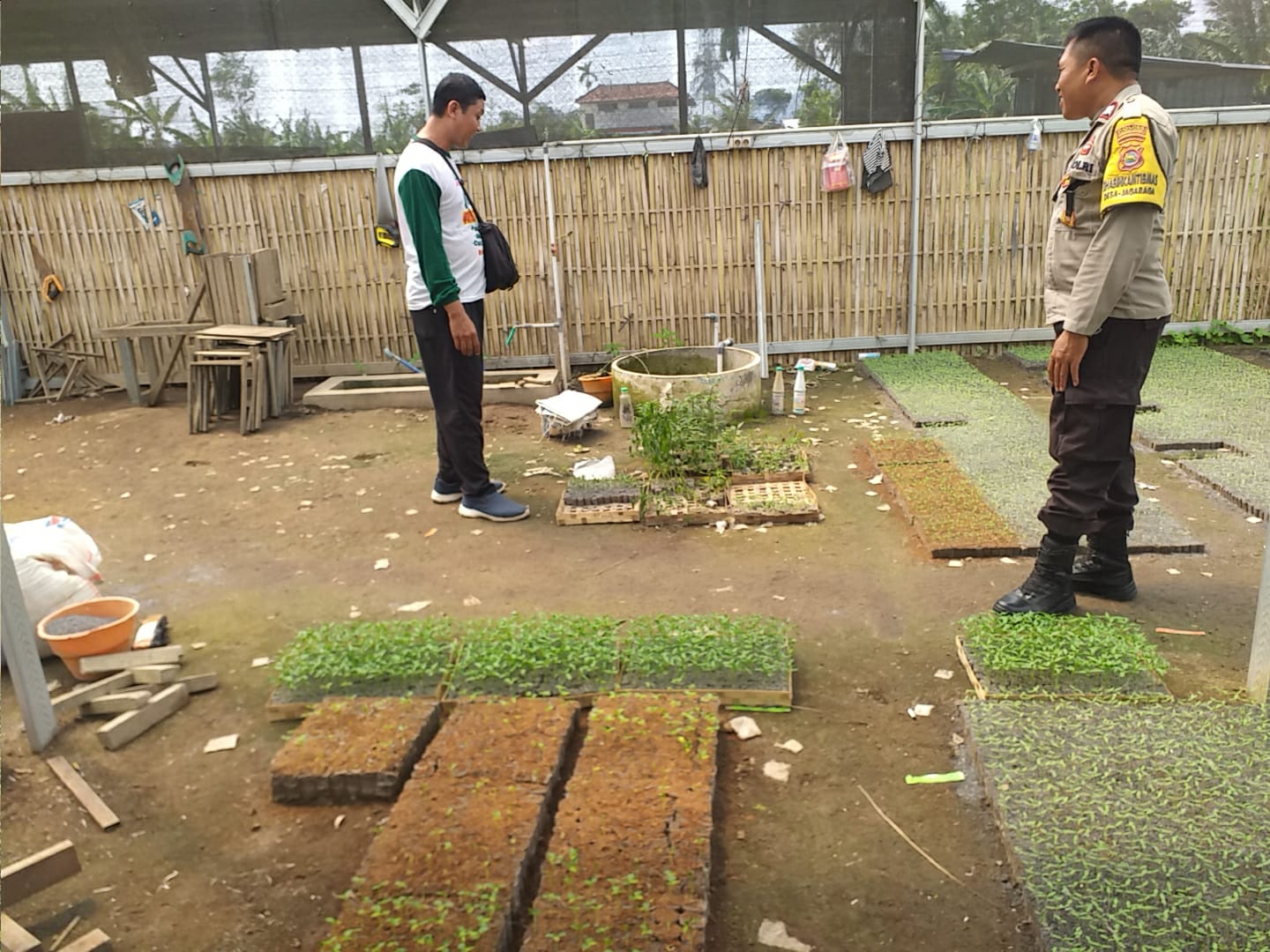 Ketahanan Pangan di Lombok Barat, Polisi Gandeng Petani Sukses Manfaatkan Pekarangan