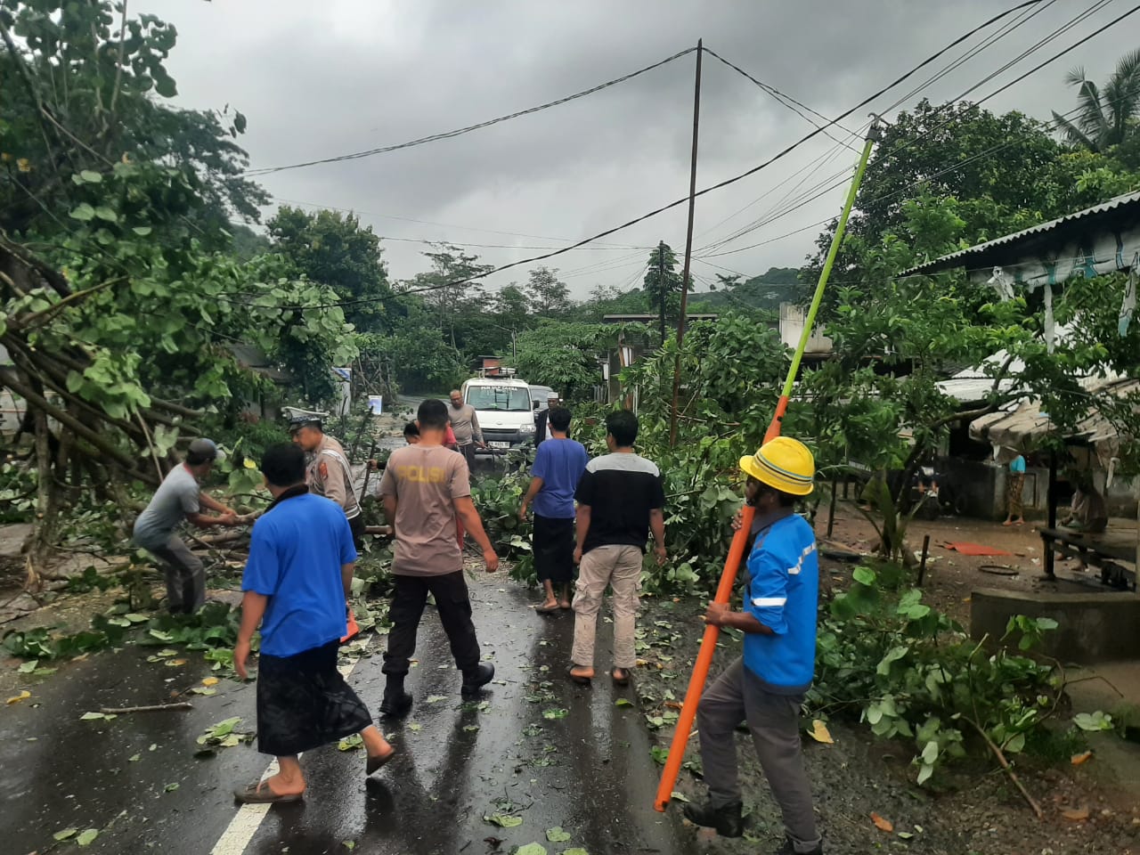 Pohon Tumbang Blokade Jalan Raya Sekotong, Polisi Gerak Cepat!