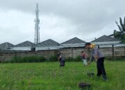 Sinergi Polisi dan Masyarakat, Polsek Labuapi Dorong Pertanian Maju