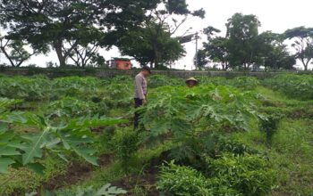 Polisi Sambangi Petani Jagaraga, Dorong Optimalisasi Lahan