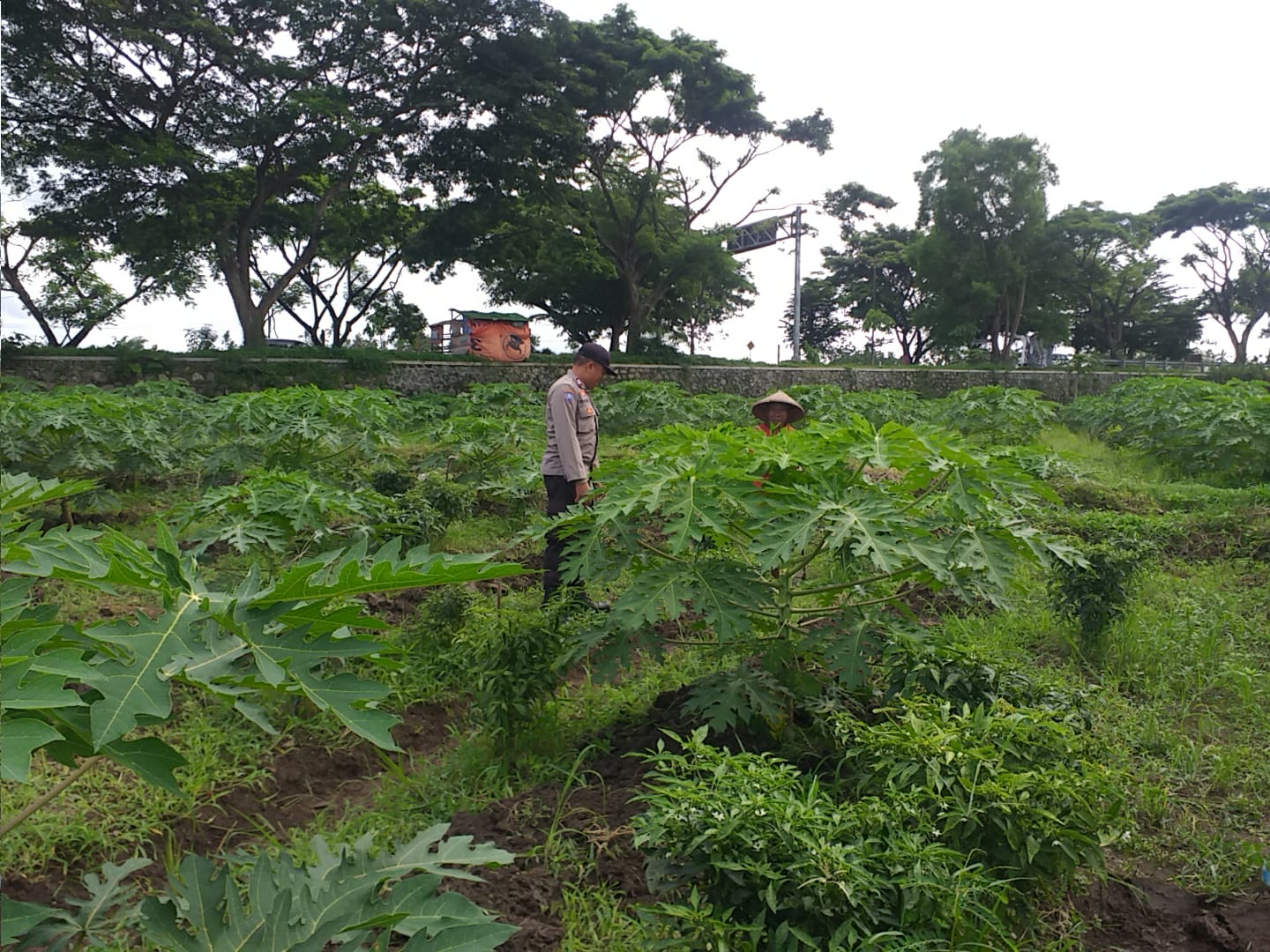 Polisi Sambangi Petani Jagaraga, Dorong Optimalisasi Lahan