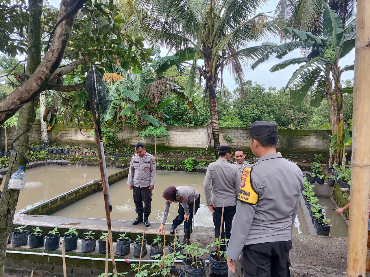 Polres Lombok Barat Kawal Ketahanan Pangan Desa Kuripan Utara