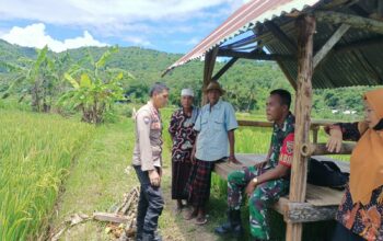 Sinergi Polri dan Petani, Wujudkan Ketahanan Pangan di Kuripan Selatan