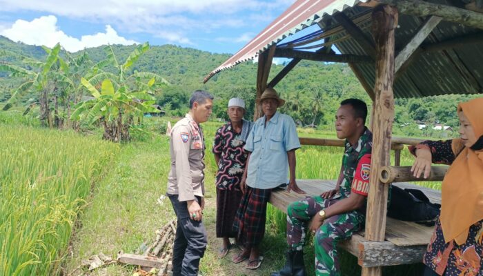 Sinergi Polisi & Petani: Harga Gabah Aman, Panen Tenang!