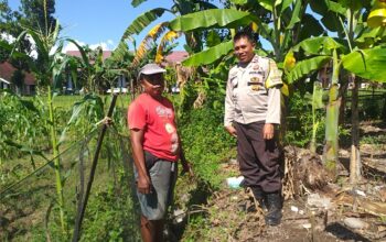 Sinergi Polri dan Warga, Polsek Kuripan Gencarkan Program Ketahanan Pangan