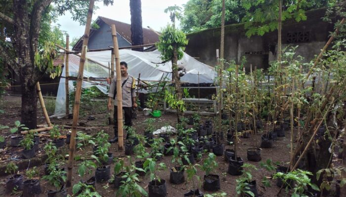 P2B di Desa Bengkel: Polisi Apresiasi Warga yang Rajin Berkebun