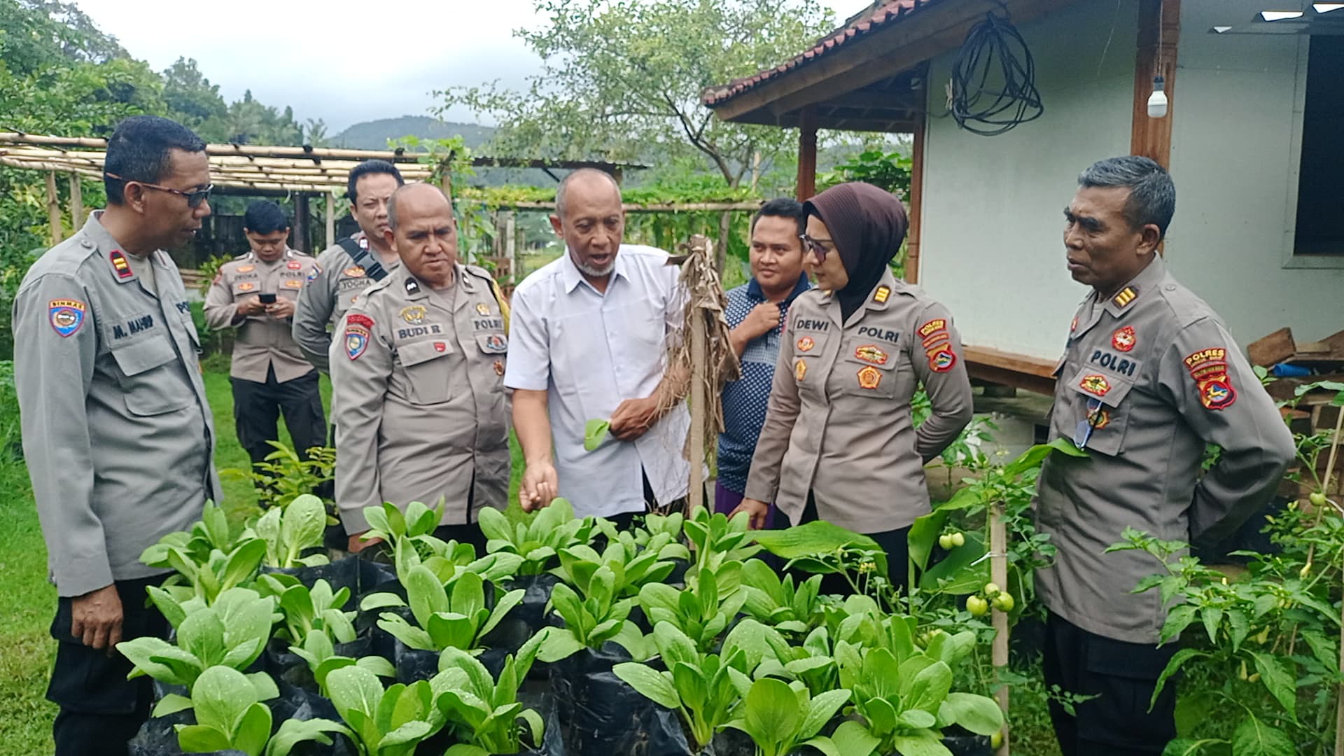 Sinergi Polri dan Masyarakat, Wujudkan Ketahanan Pangan di Lombok Barat