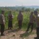 Dukung Ketahanan Pangan, Kapolsek Jereweh Turun ke Lahan Warga Cek Perkembangan Tanaman Jagung