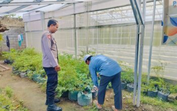 Bhabinkamtibmas Bajur Gerakkan Warga Manfaatkan Pekarangan Rumah untuk Ketahanan Pangan